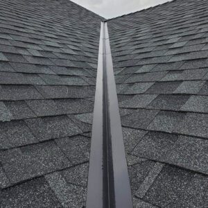 Denver roofing contractor