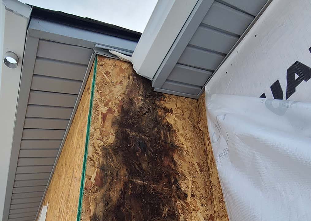 Lack of gutter maintenance creating mold issues discovered by Custom Exteriors during a siding replacement